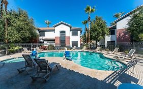 Chandler 1 Bd 1 Ba Fully Renovated Premium Lux Apartment Pets Allowed