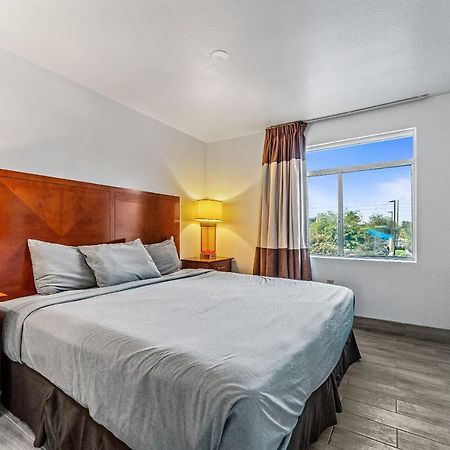 Chandler 1 Bd 1 Ba Fully Renovated Premium Lux Apartment Pets Allowed Exterior photo